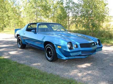 1980 Chevrolet Camaro Picture